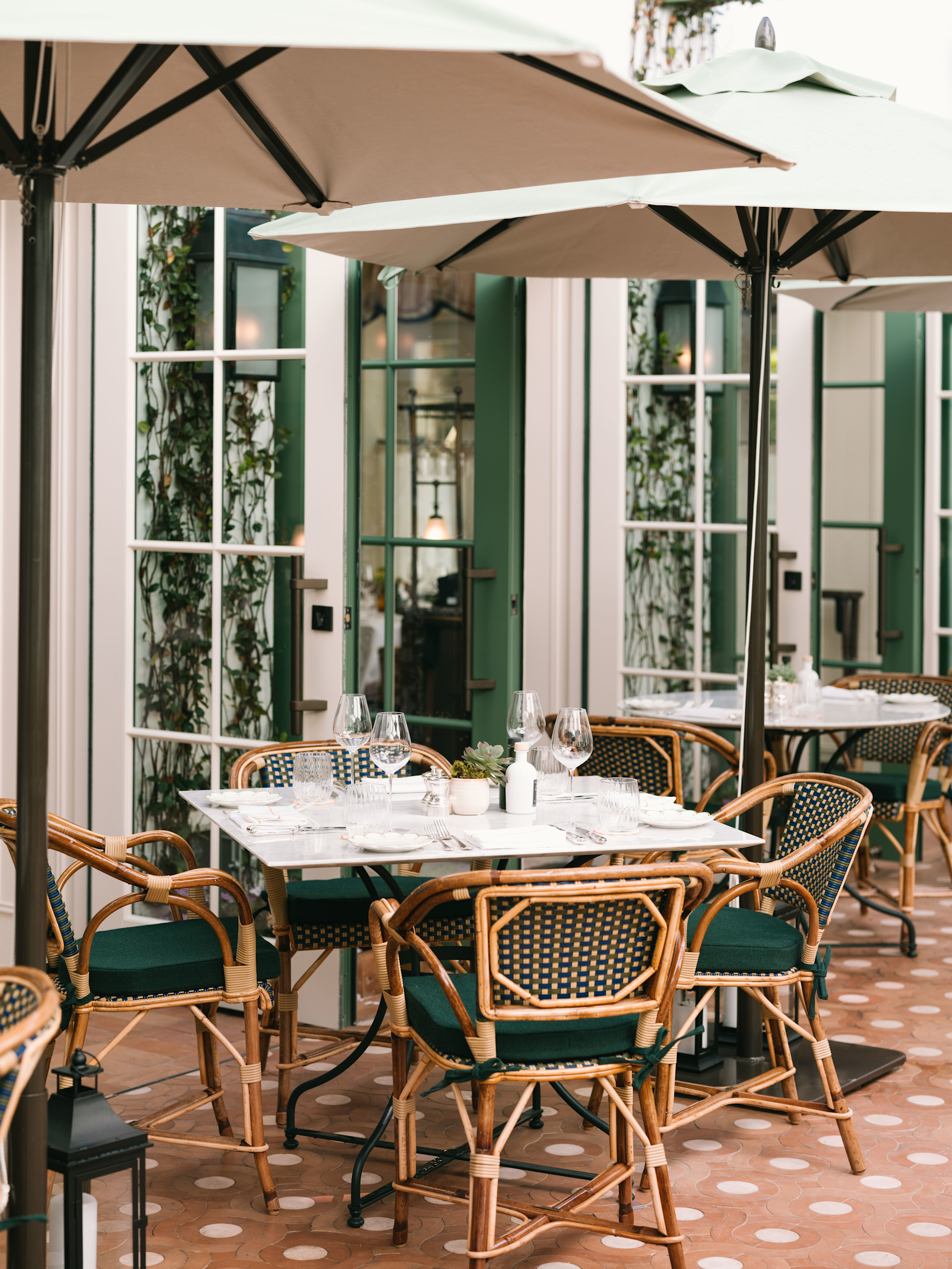 VIN - Coco's Courtyard