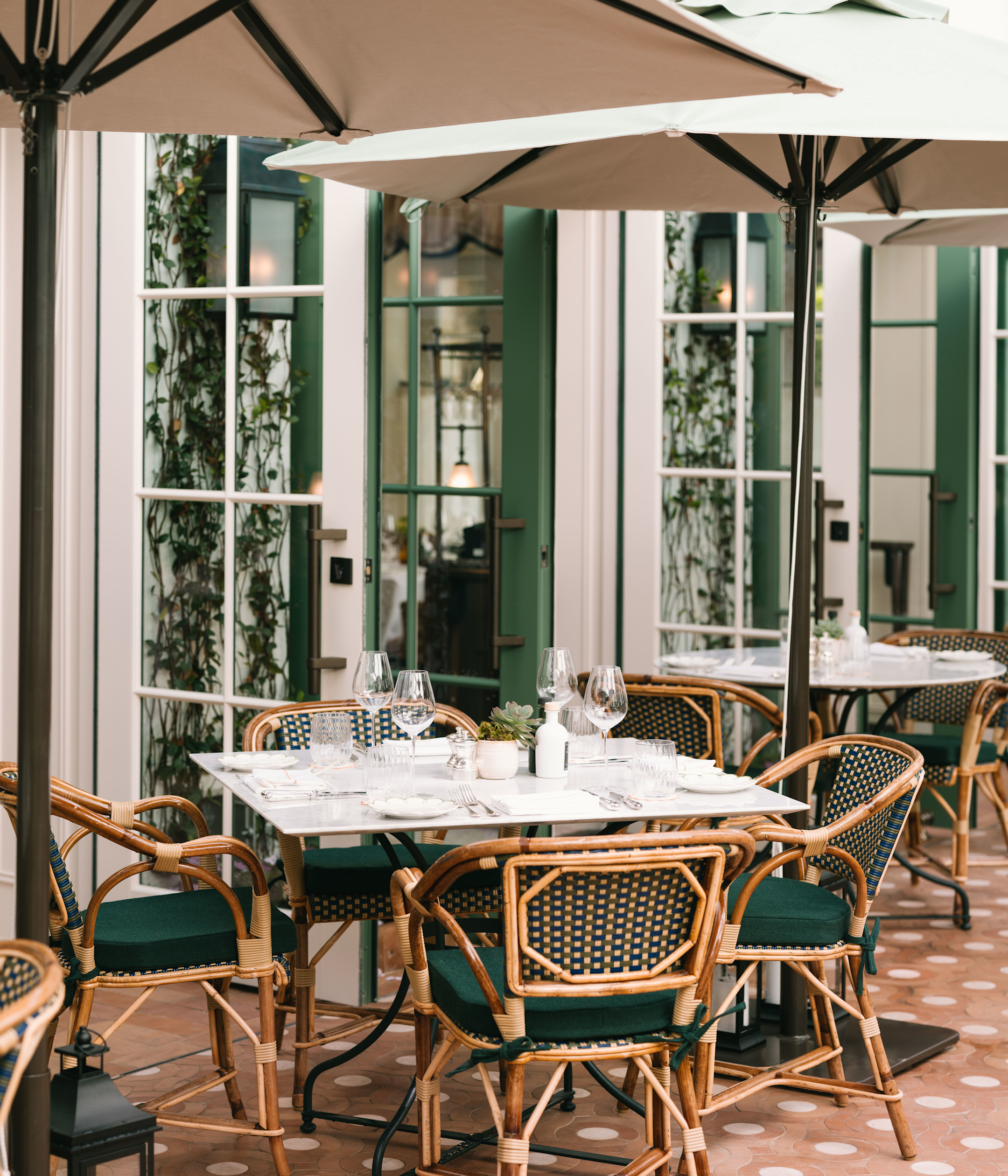 VIN - Coco's Courtyard