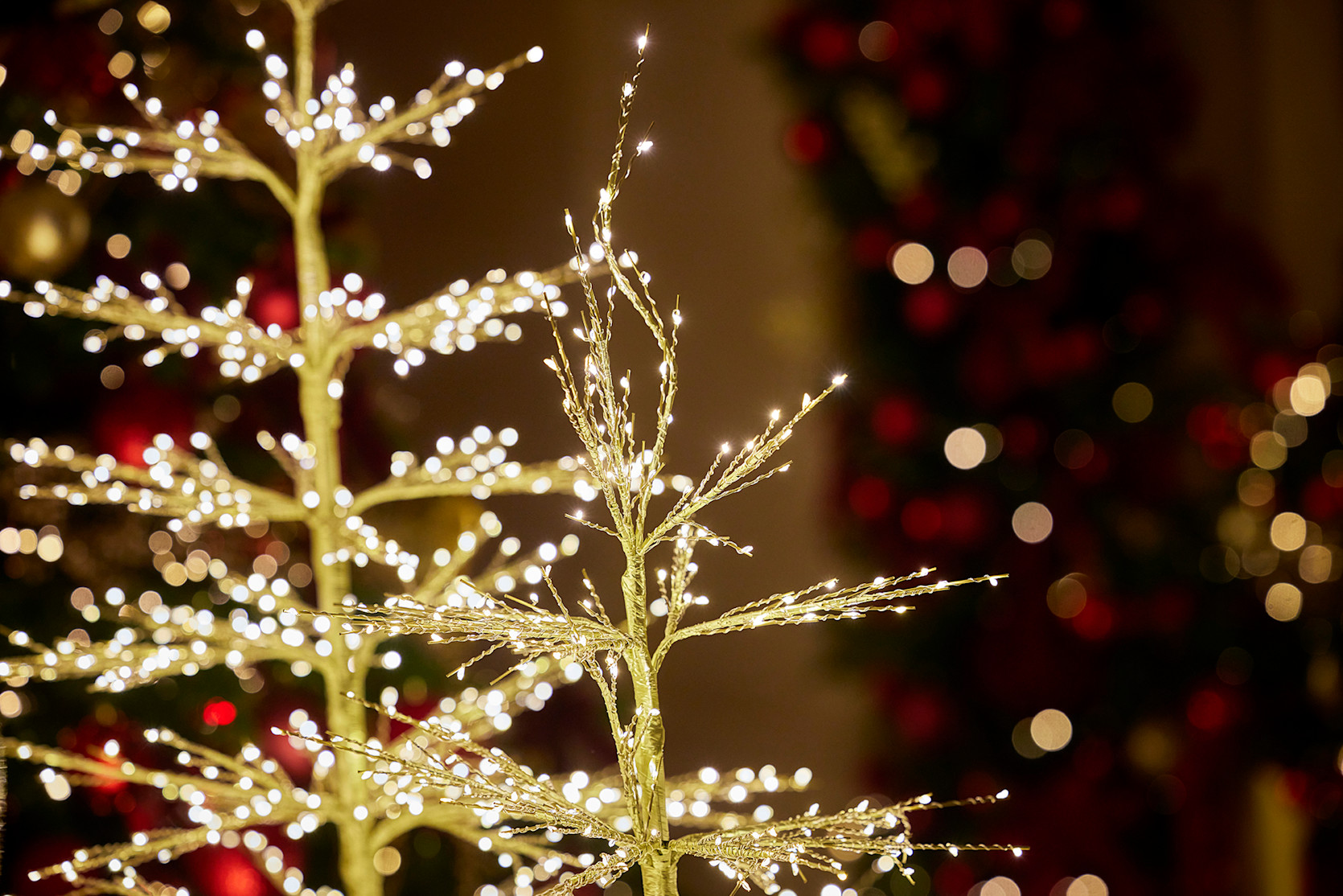 Festive Season 2025 The Lanesborough