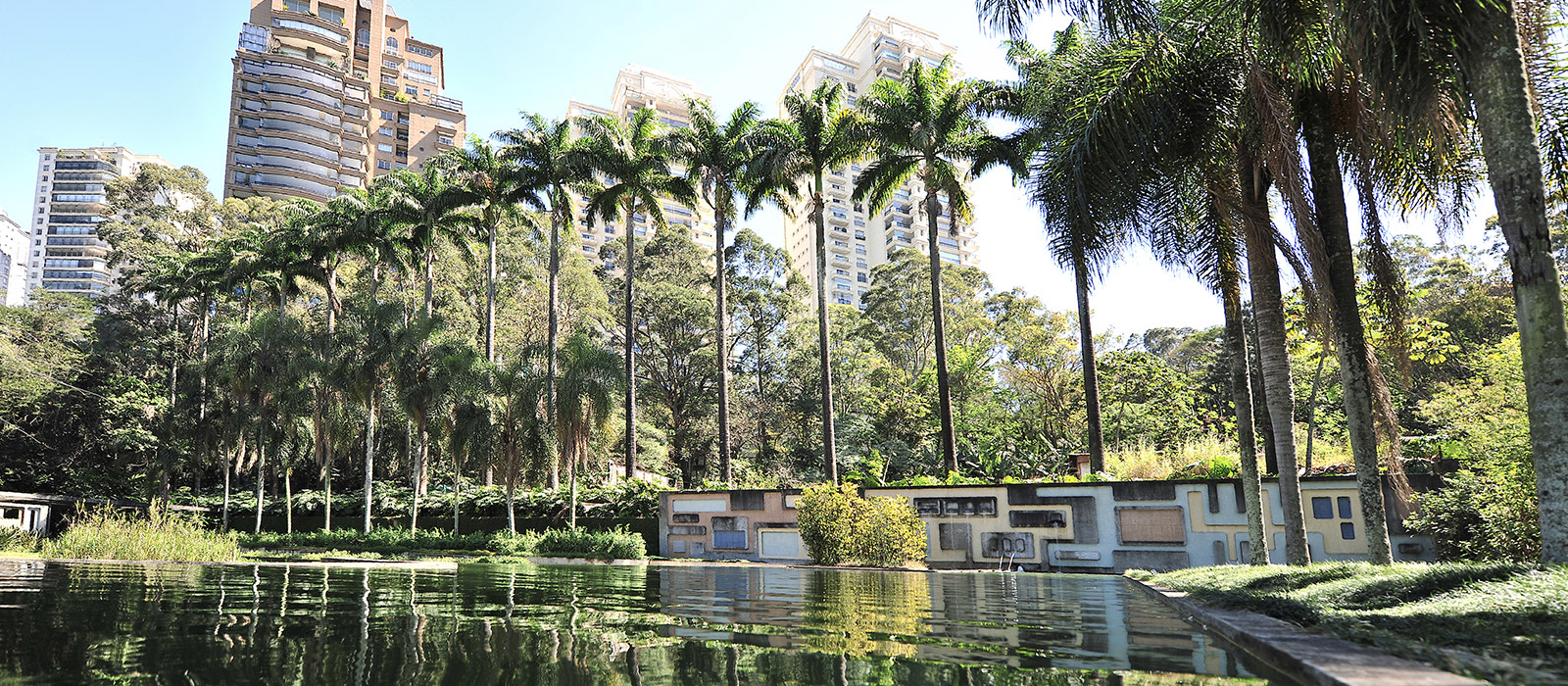 SAO - Destination - Palm Trees