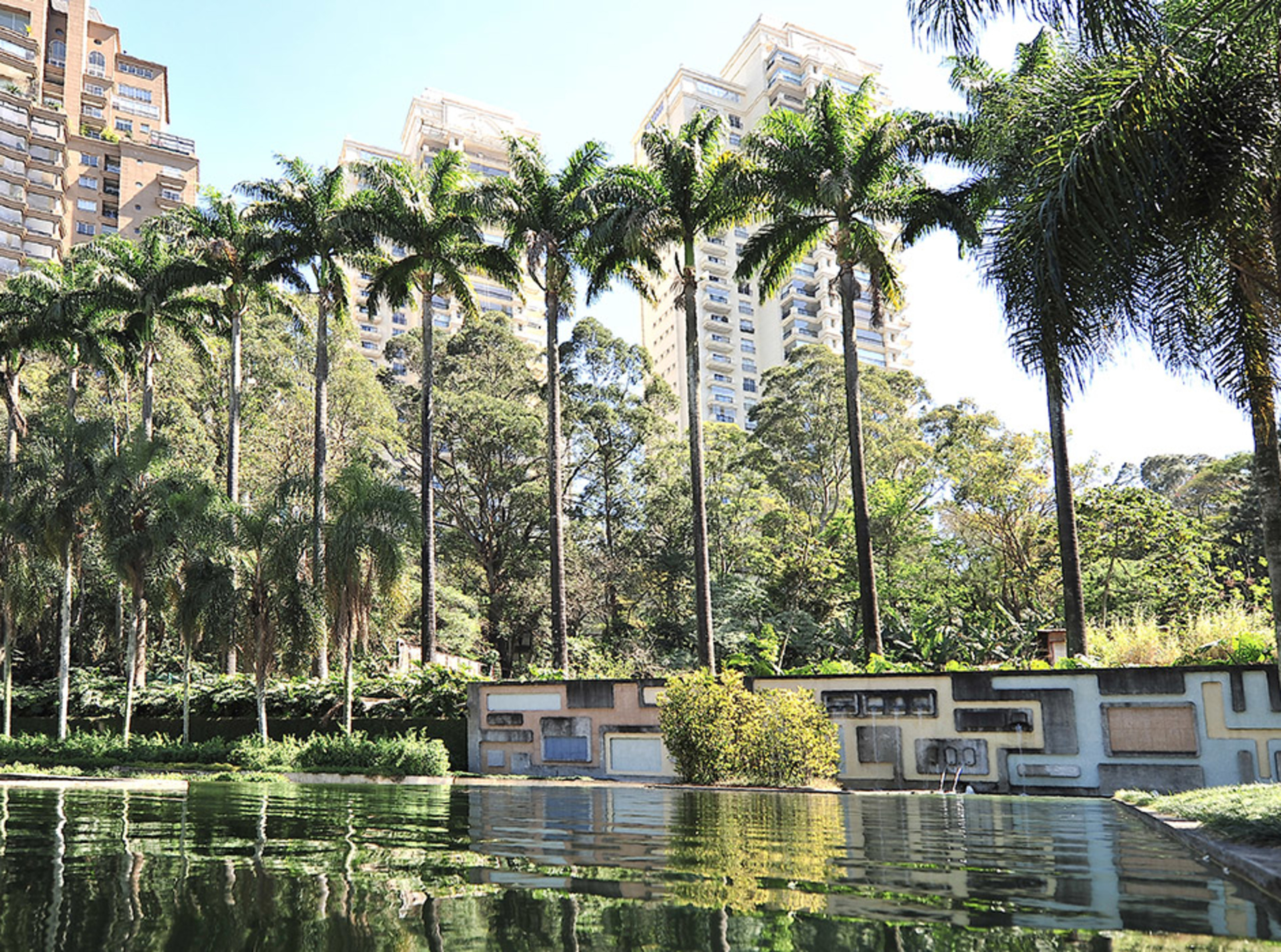 SAO - Destination - Palm Trees