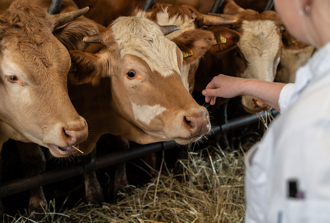 Brenners-Park-Hotel-Spa-Rinderhof-und-Metzgerei-Glasstetter-Malsch ©Andreas-Stephany(52)