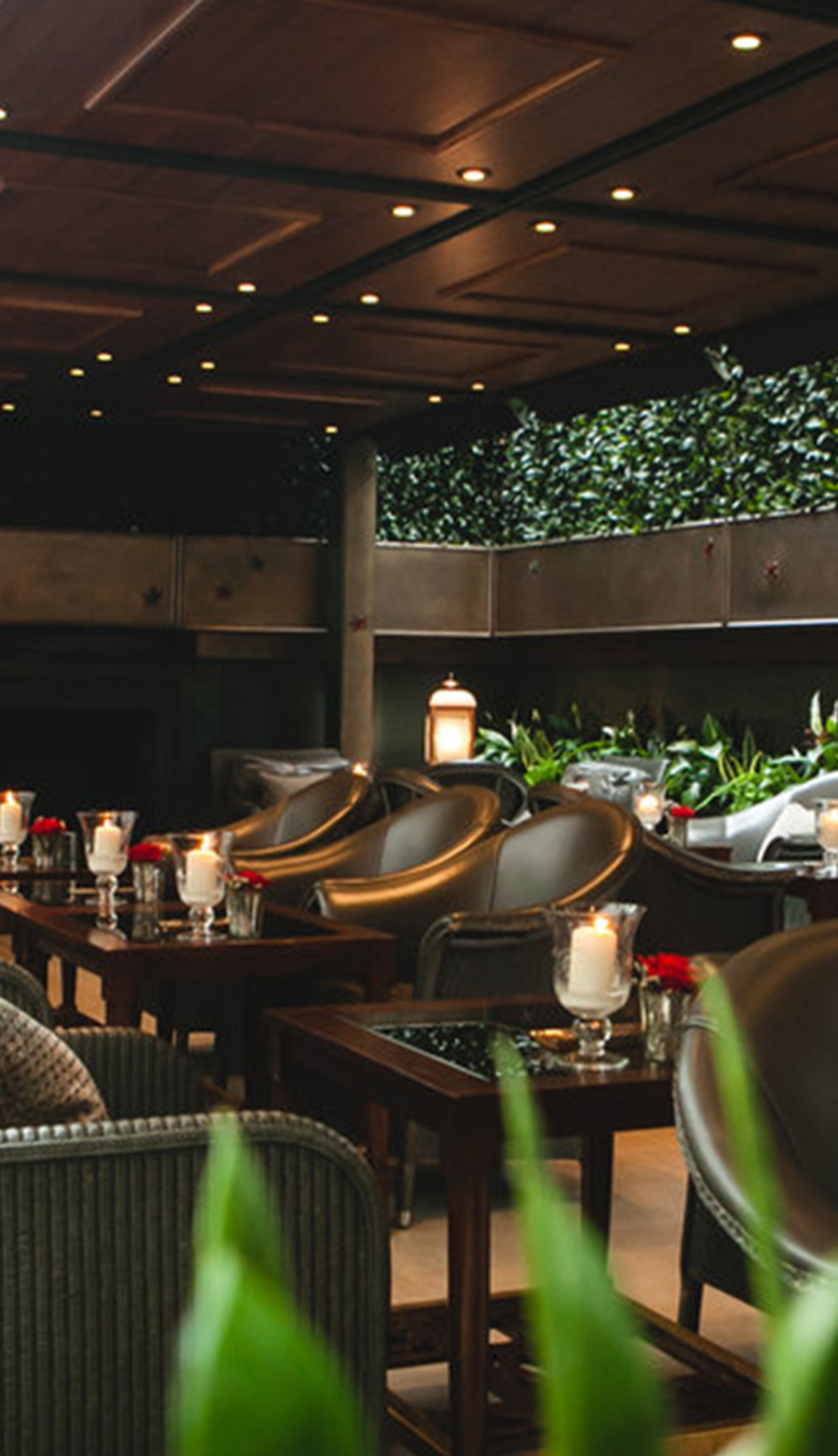 LAN - The Garden Room at The Lanesborough