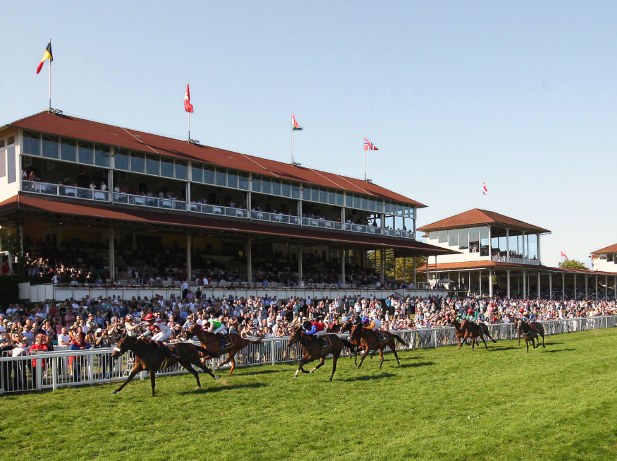 BPH - Horse race - Iffeheim