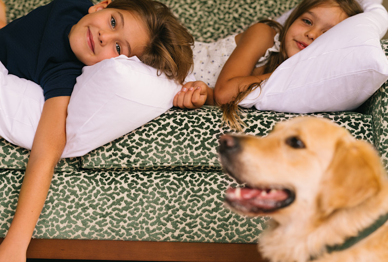 BPH - Kids - Dog