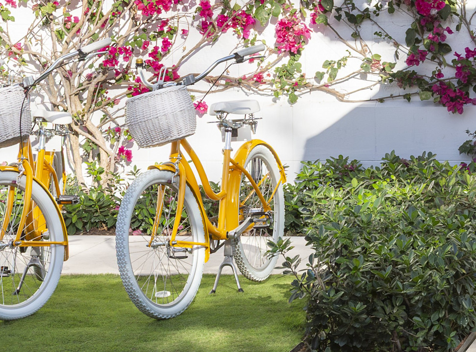 VIN - Bike 