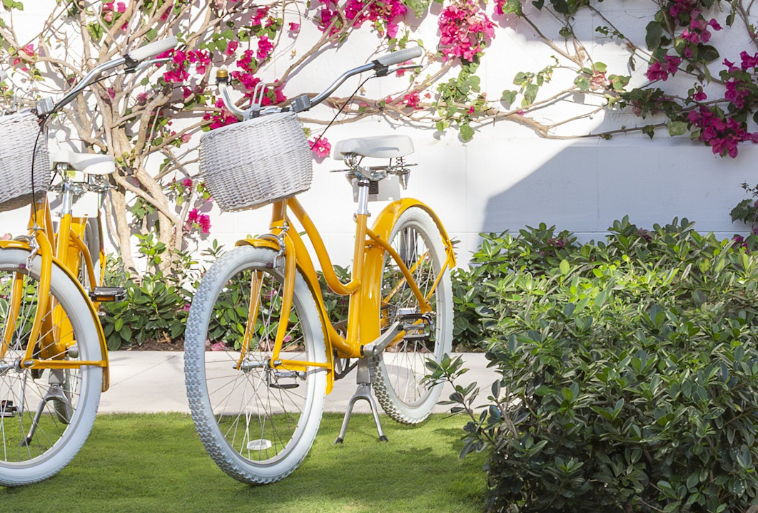 VIN - Bike