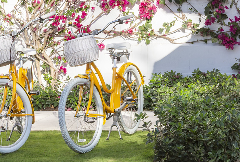 VIN - Bike