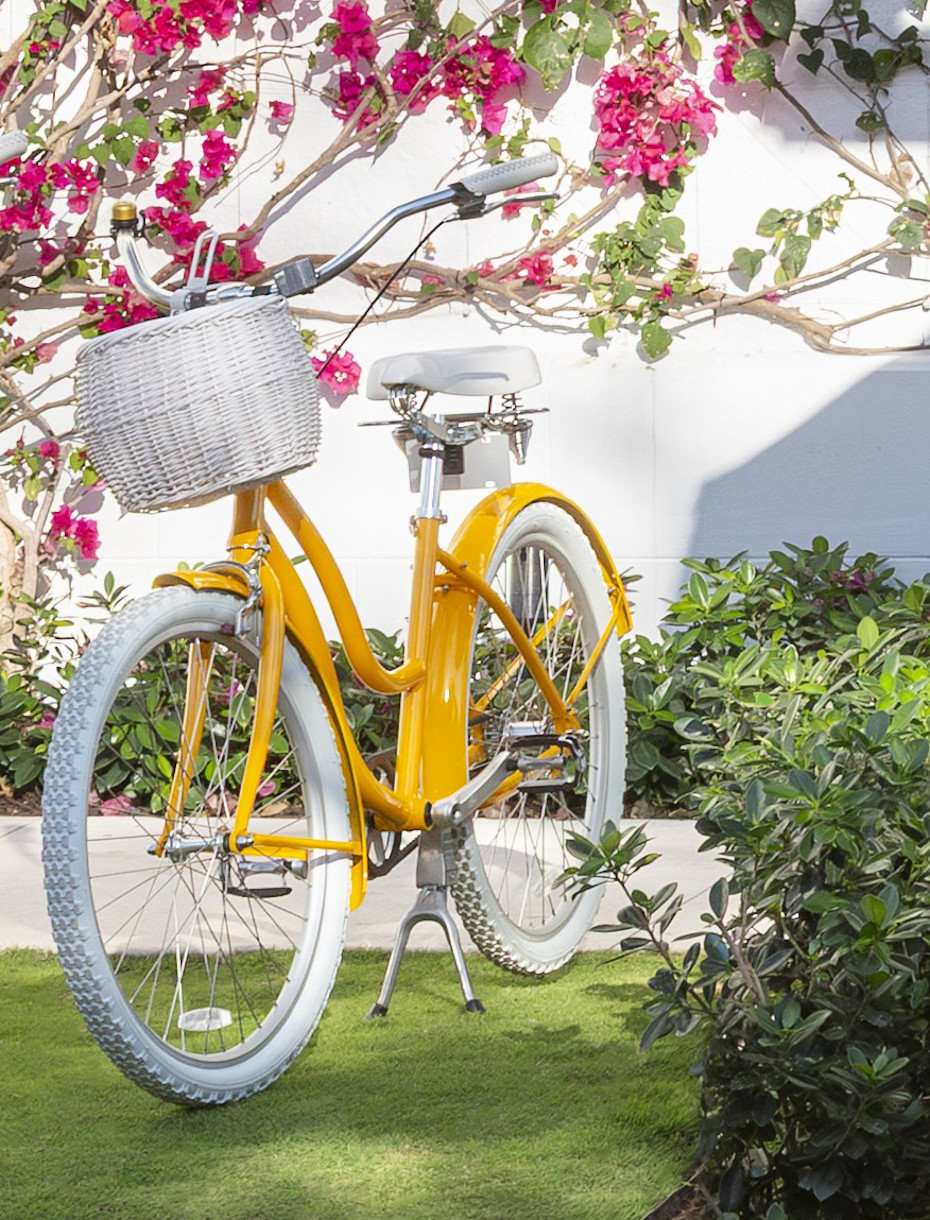 VIN - Bike