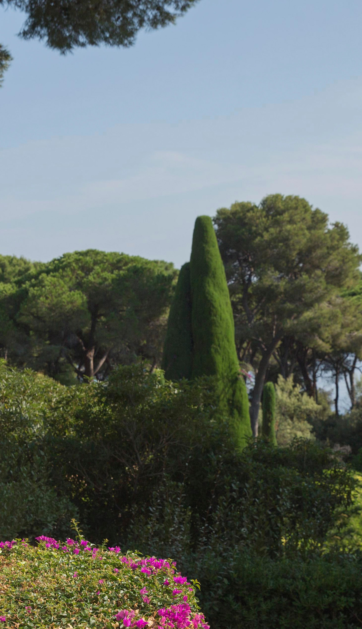 HDC - Men on his terrace cut