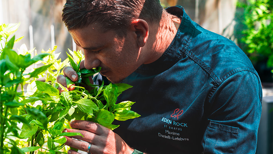 ERO - Sustainability - Garden