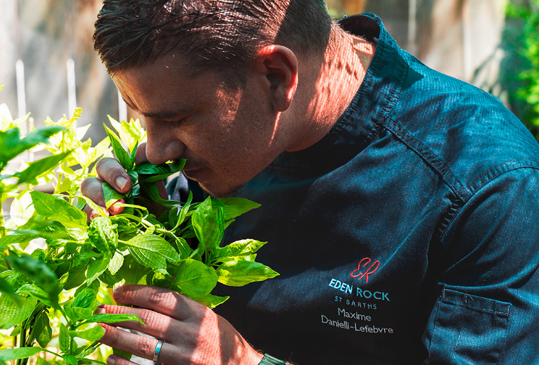 ERO - Sustainability - Garden