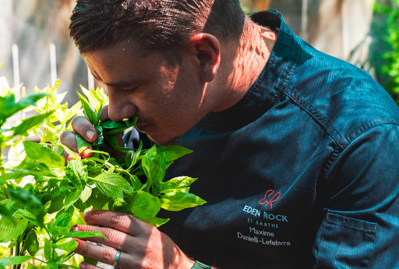 ERO - Sustainability - Garden