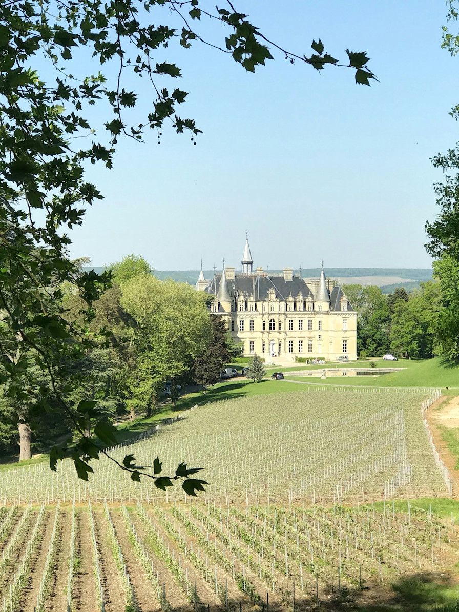 LBP - We du sommelier loire