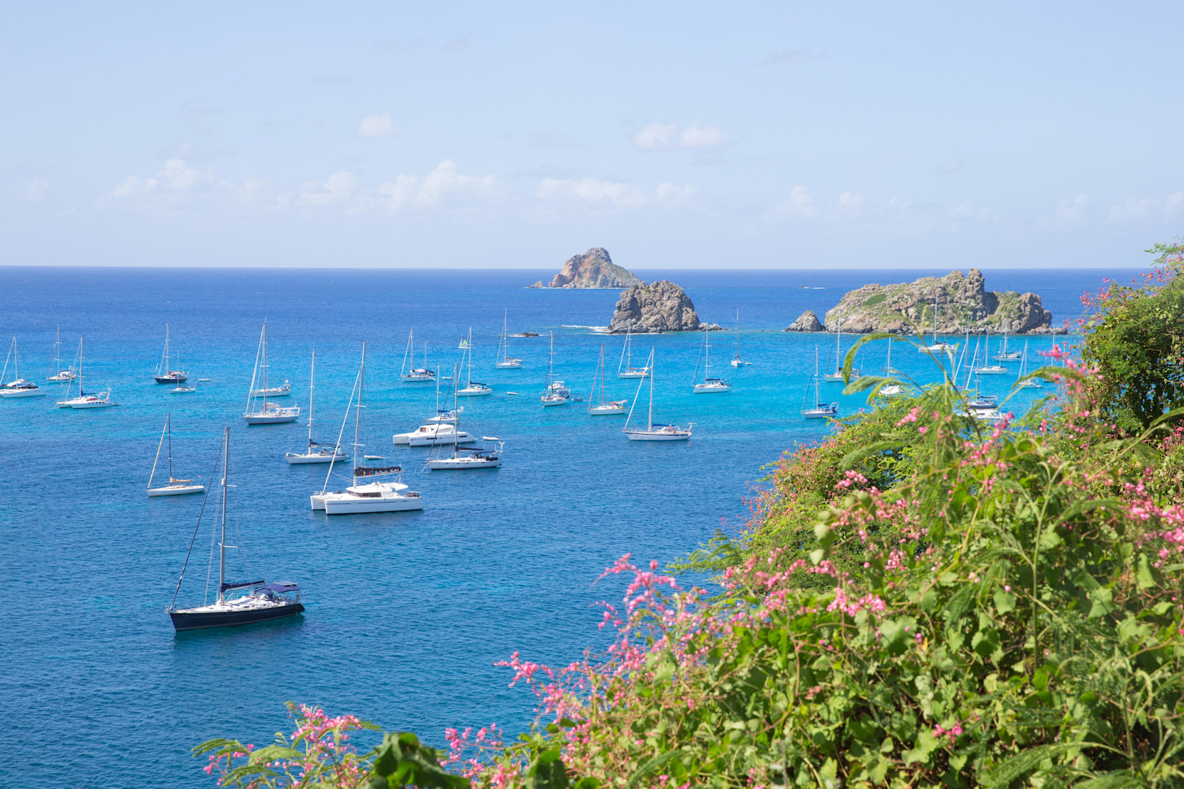 ERO - Destination - Sailing boats - Ocean