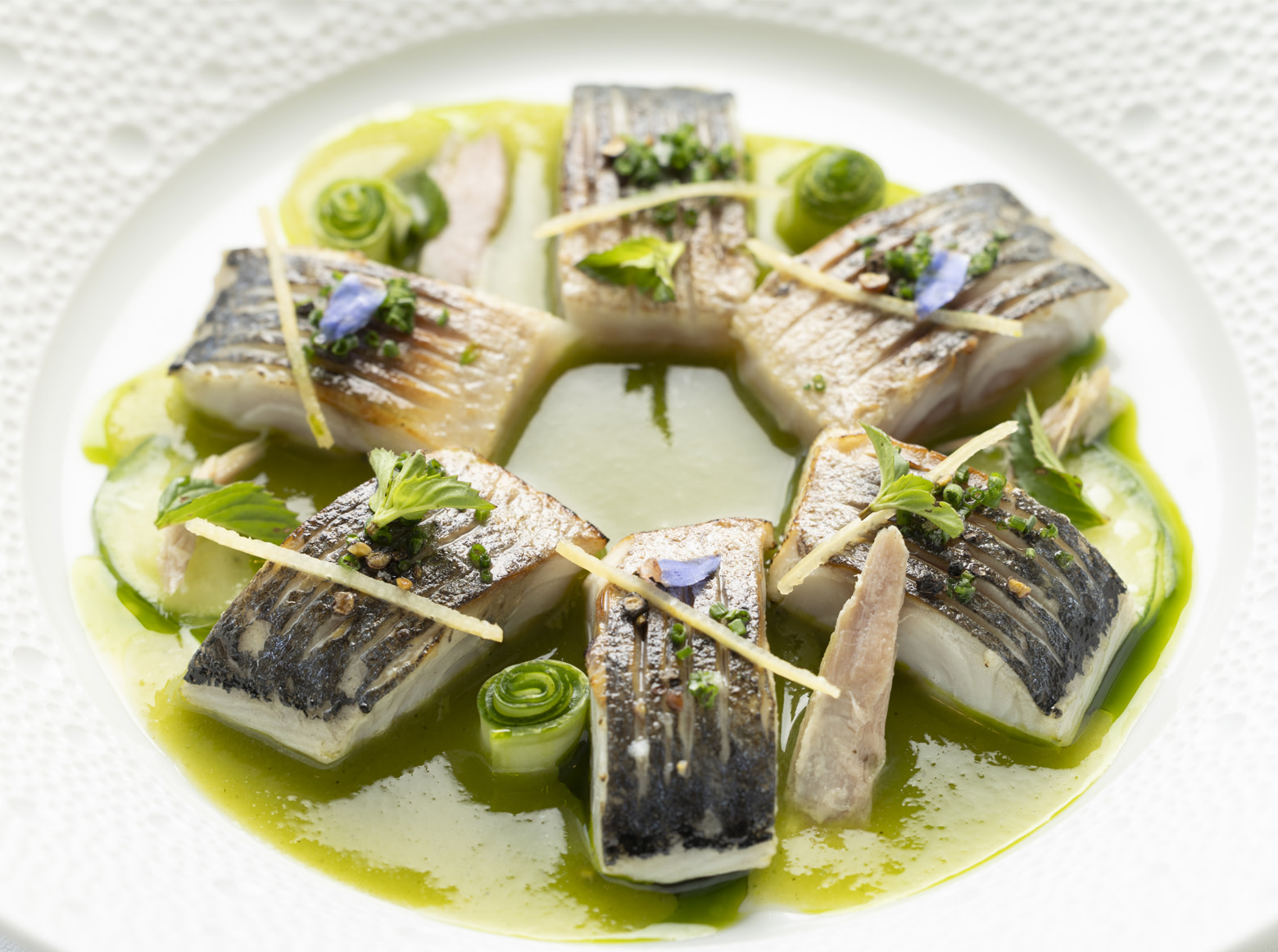 HDC - Mackerel fillet