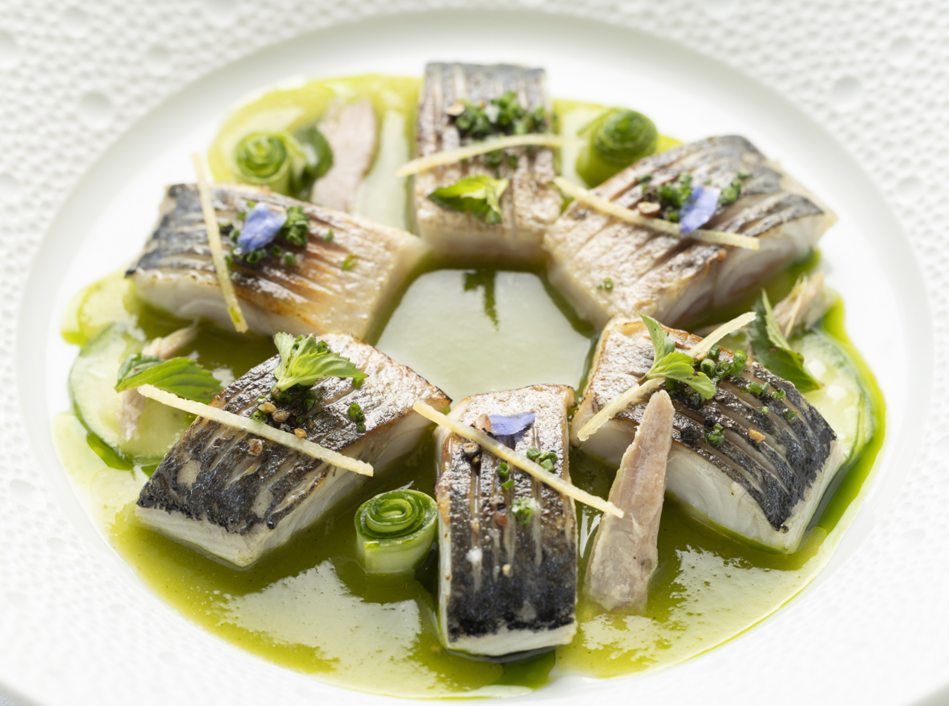HDC - Mackerel fillet