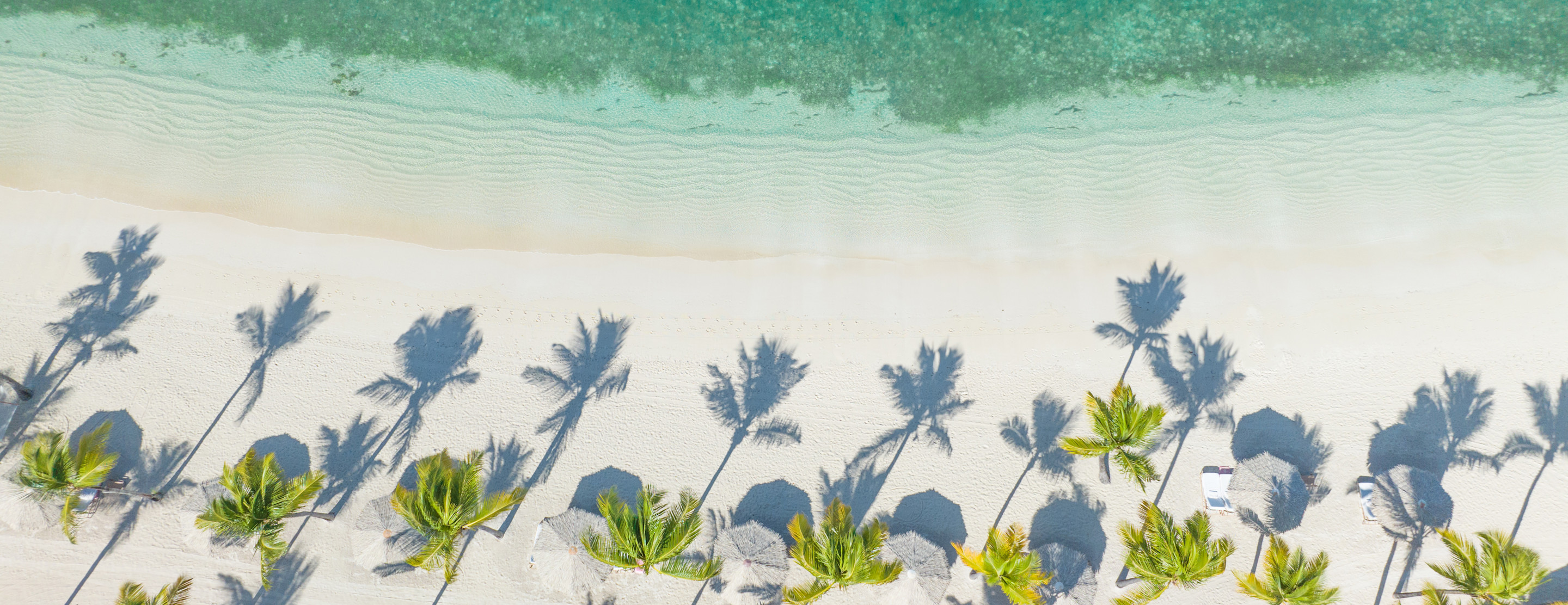JBI - shoreline areial view parallel to beach