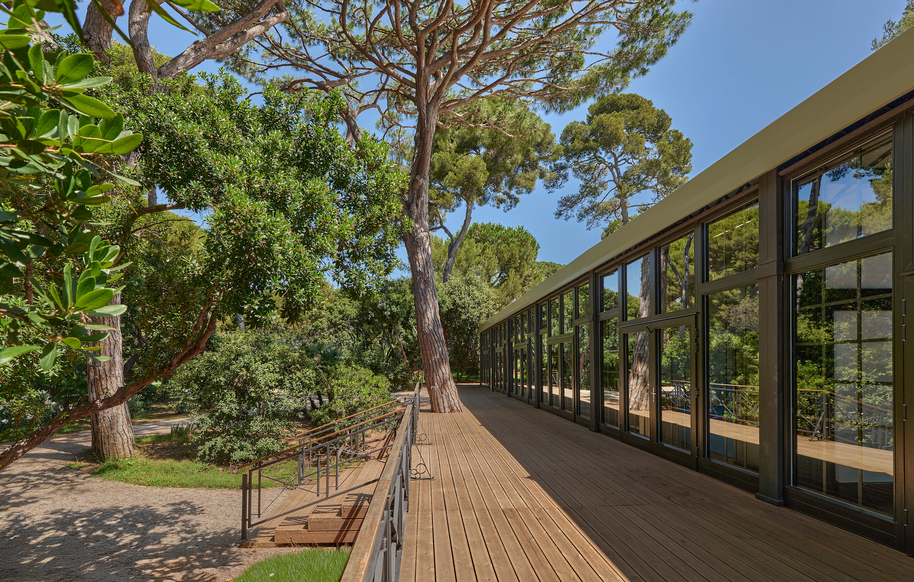 HDC - Glasshouse from the terrace