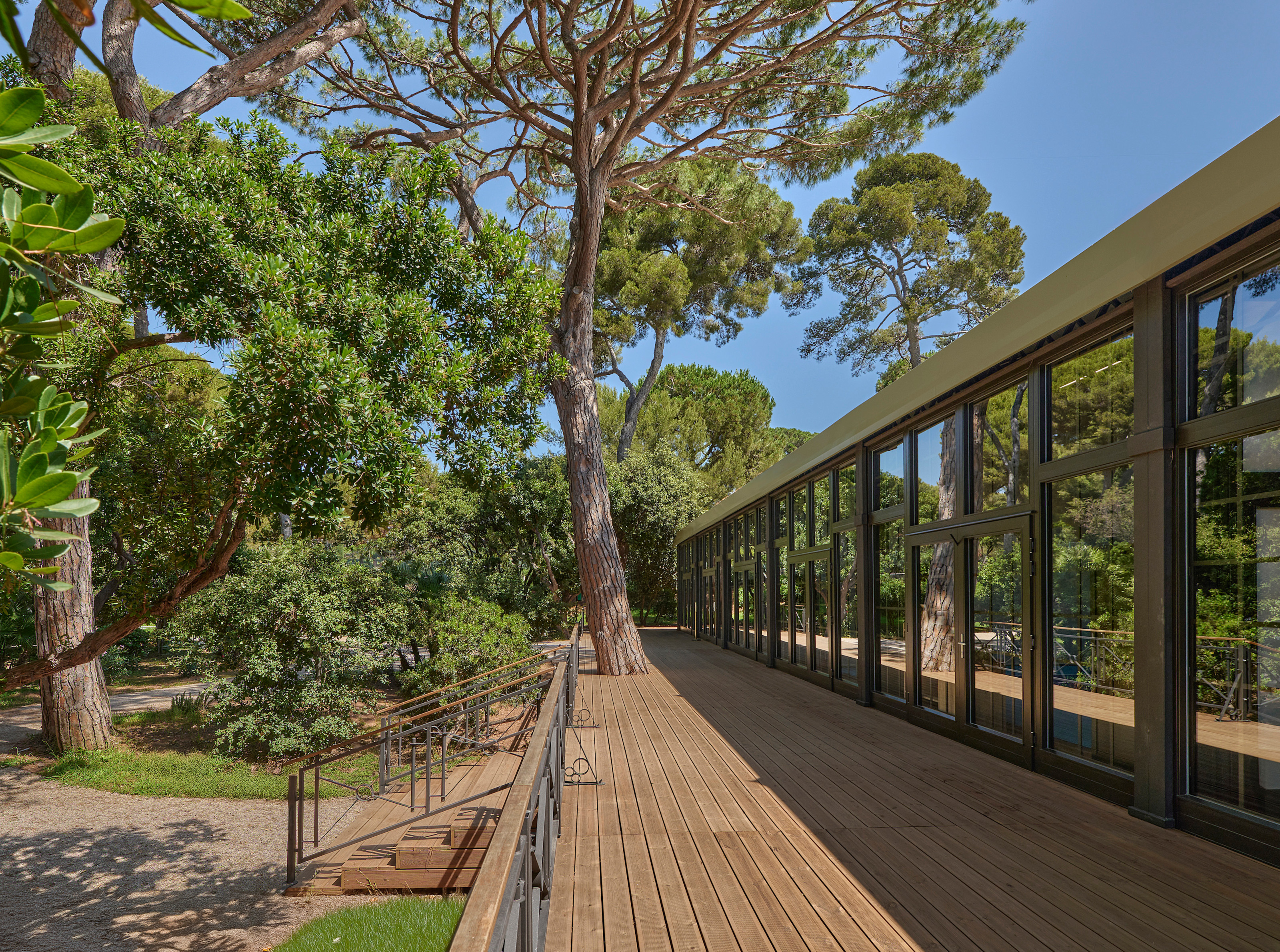 HDC - Glasshouse from the terrace