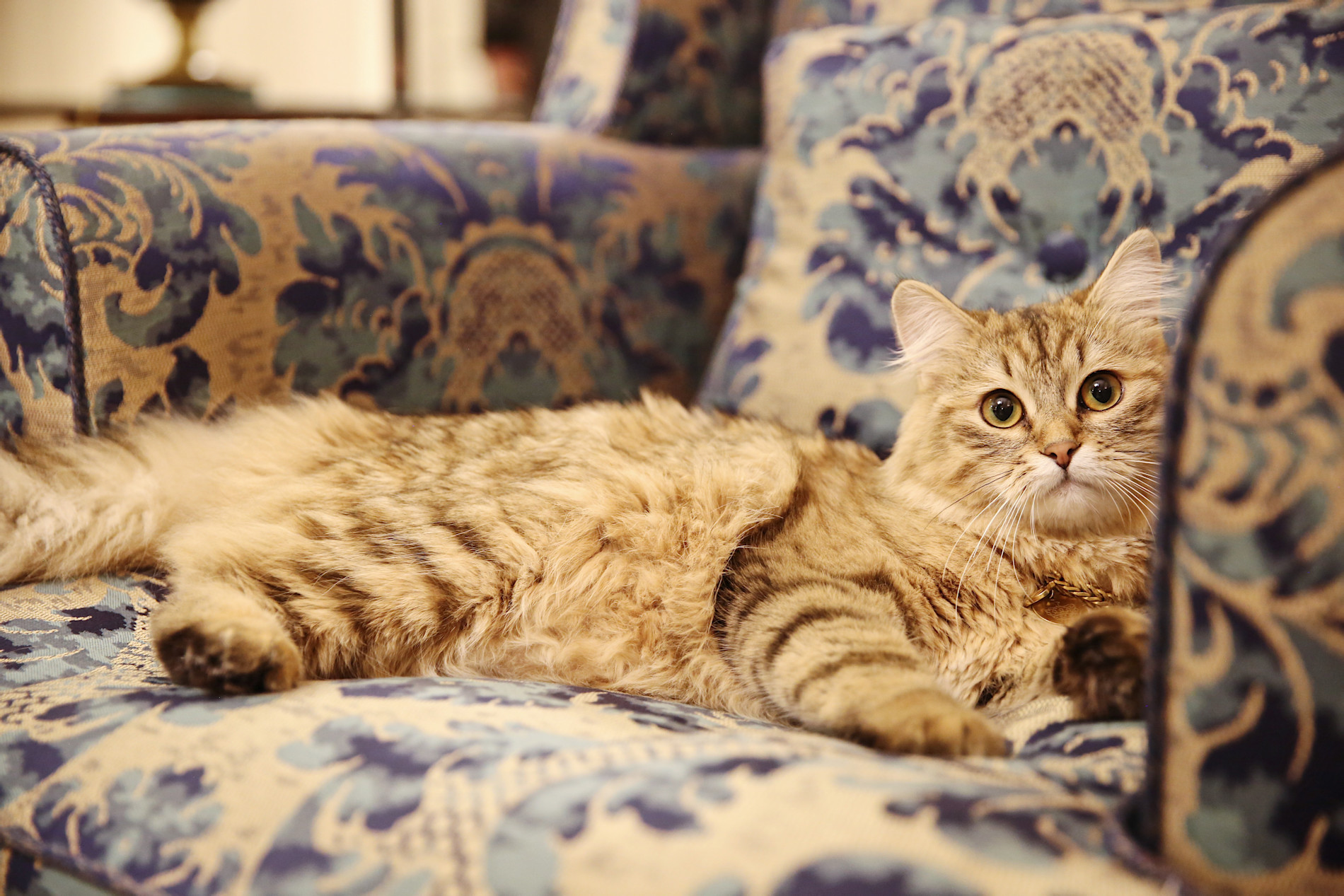 Lilibet - The Lanesborough