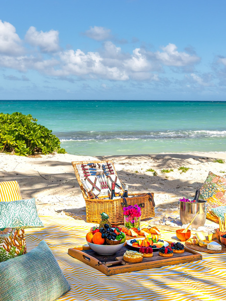 JBI Picnic on the Beach