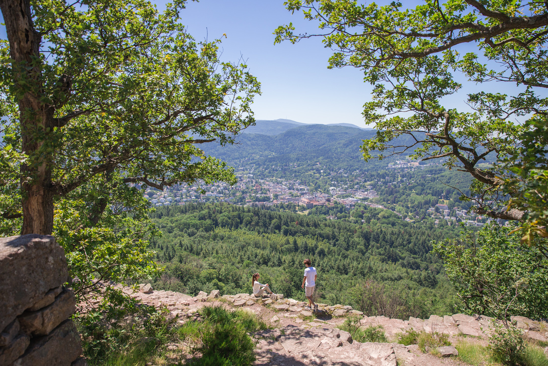 Brenners-Park-Hotel-Spa-Nature-View