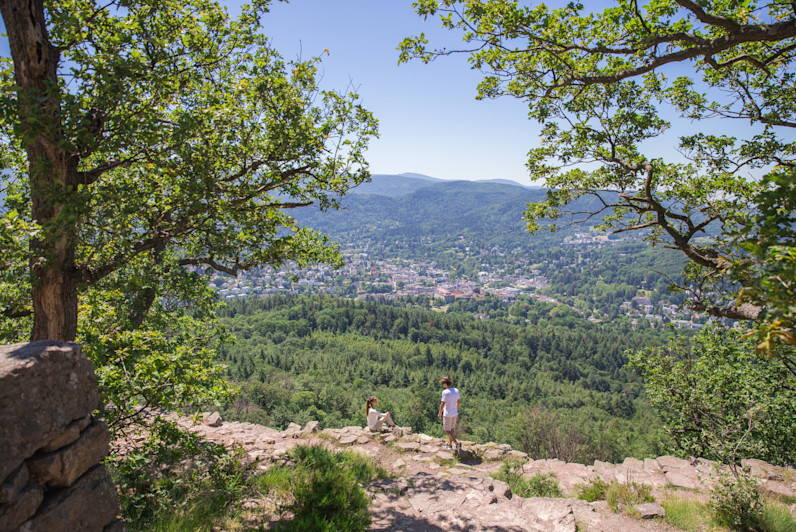 BPH - Nature-View