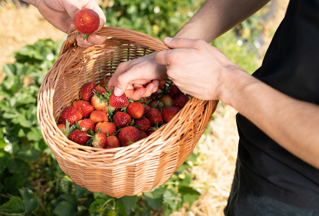 Brenners-Park-Hotel-Spa-Huberhof