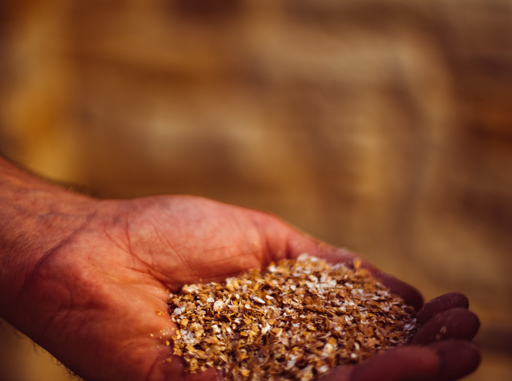 Le Bristol Paris x Le Pain Vivant - farine