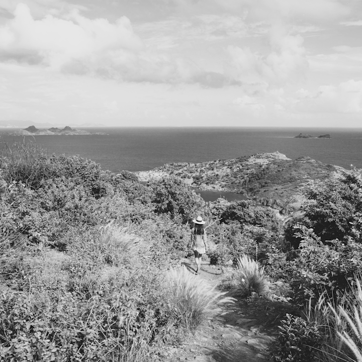 ERO - Nature - Beach