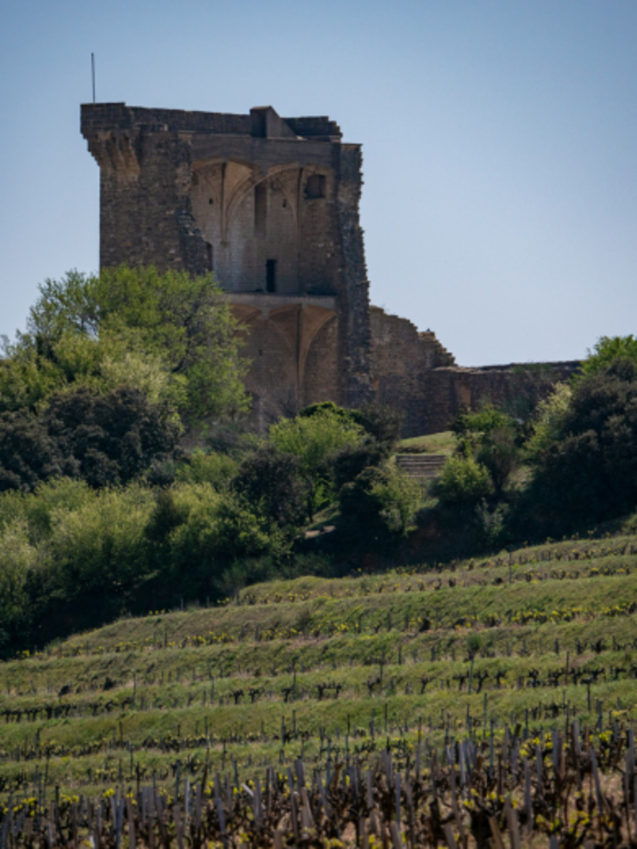 LBP - we du sommelier rhone meridionale