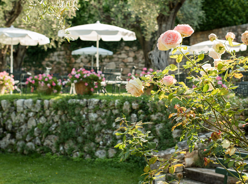 CSM - Garden with roses