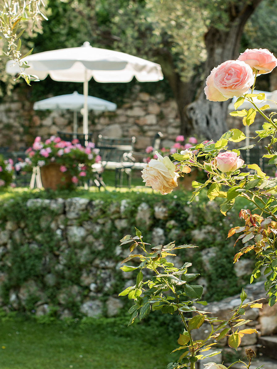 CSM - Garden with roses