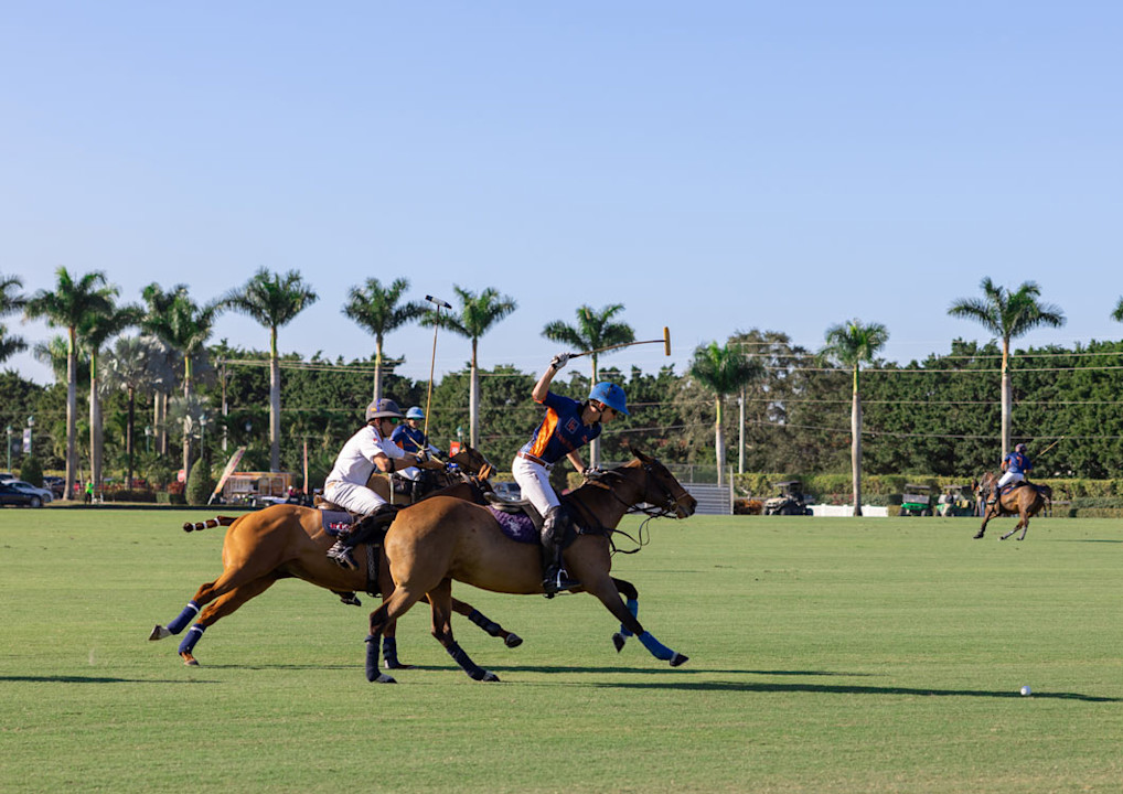 VIN - destination page - Polo 
