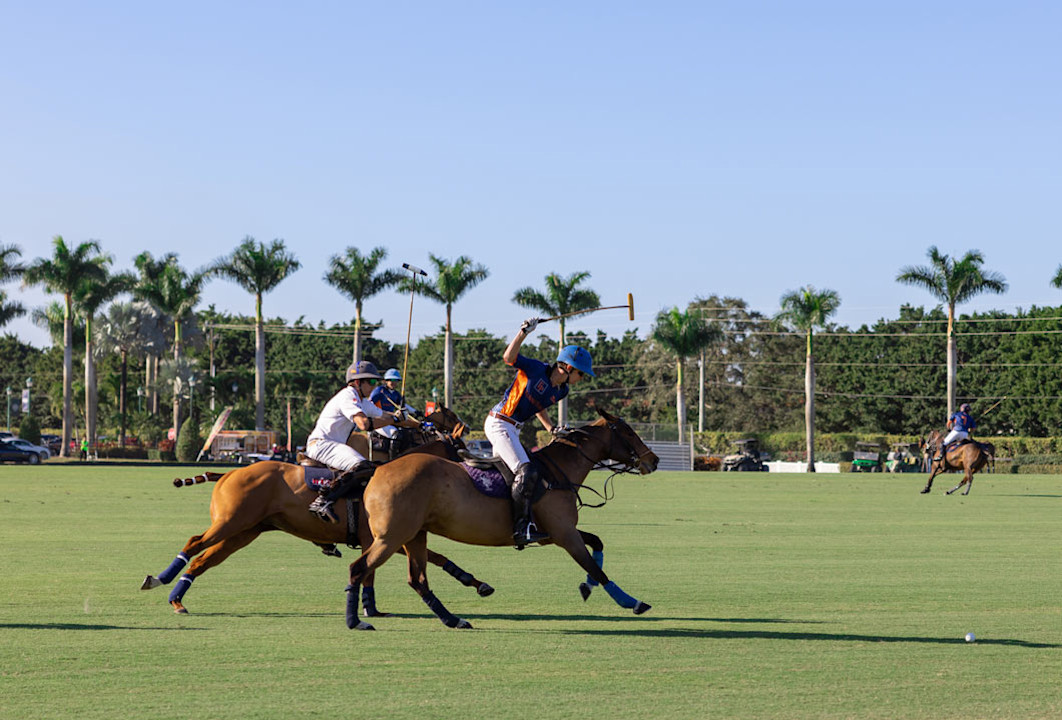 VIN - destination page - Polo