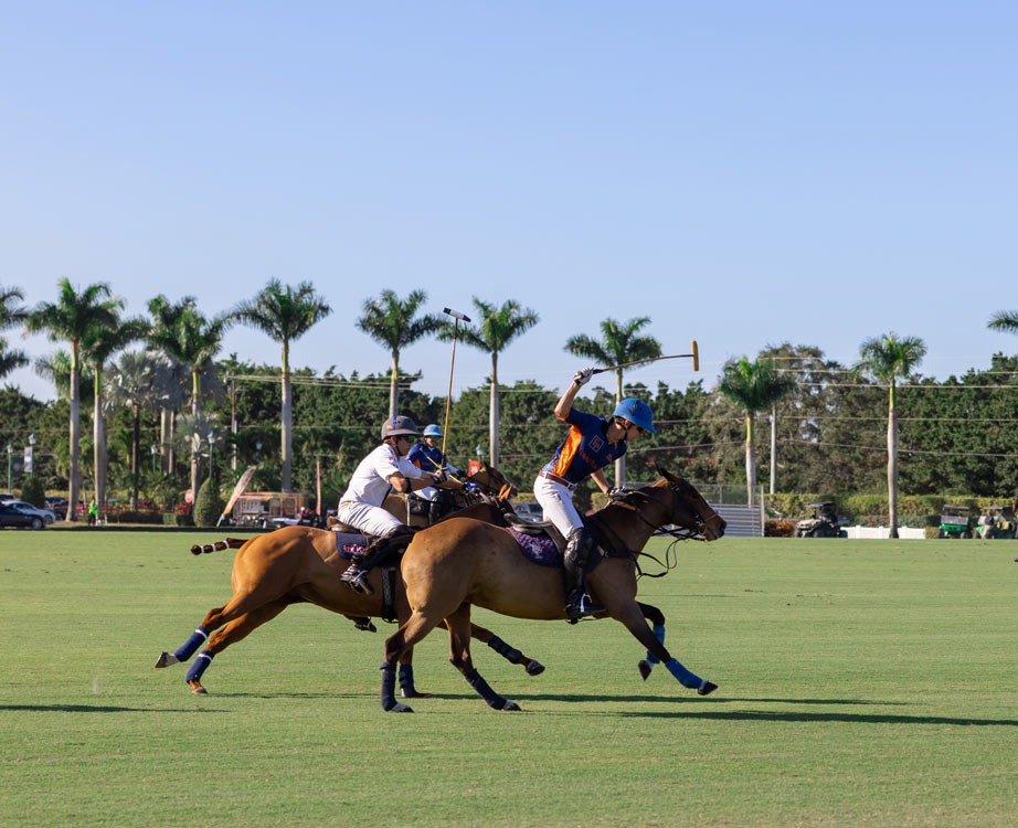 VIN - destination page - Polo 