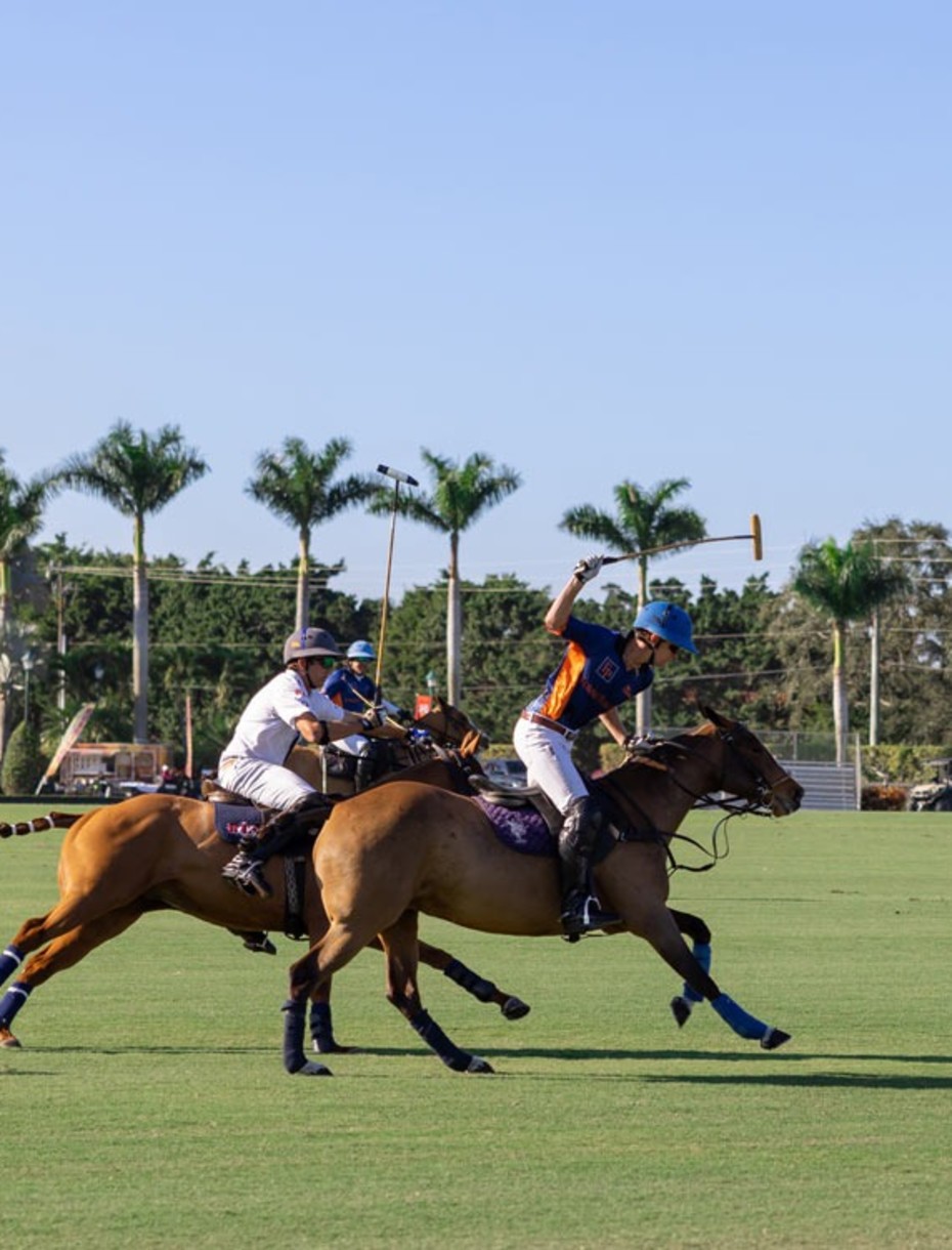VIN - destination page - Polo