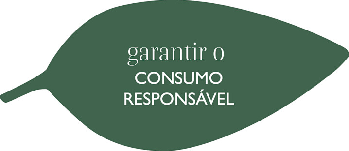Sustainability - Leave 2 - Responsible consumption - PT