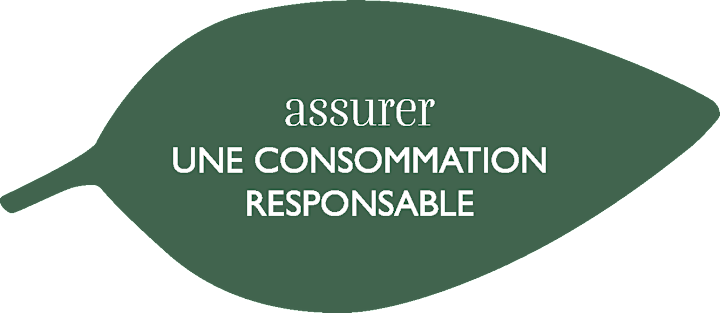 Sustainability - Leave 2 - Responsible consumption - FR