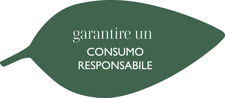 Sustainability - Leave 2 - Responsible consumption - IT