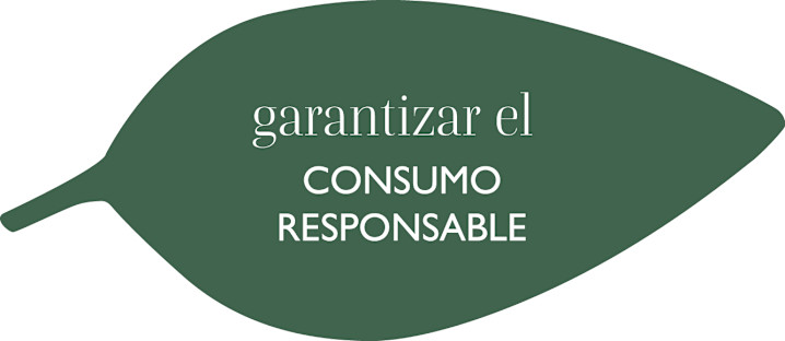 Sustainability - Leave 2 - Responsible consumption - ES