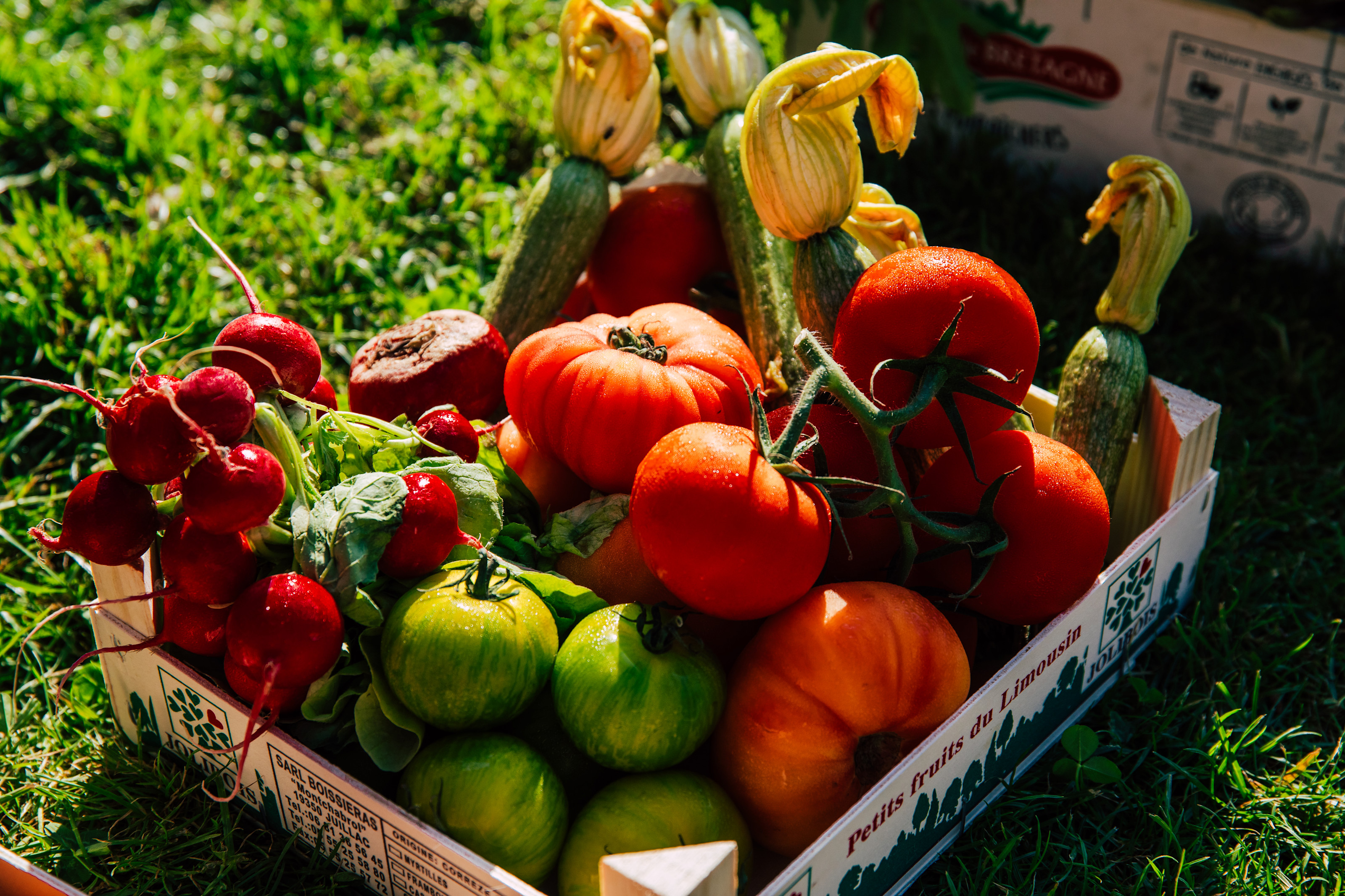 CSM - Tomatoes