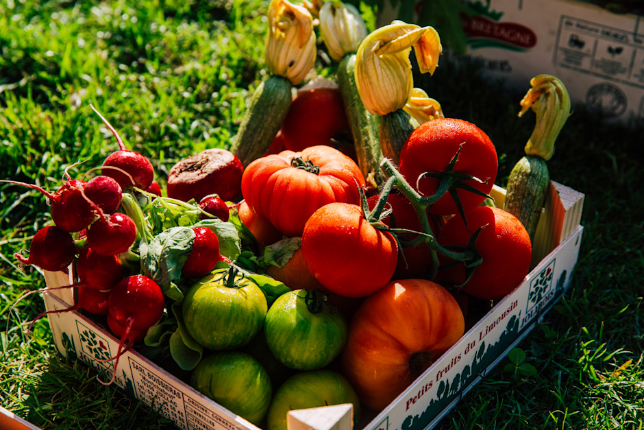 CSM - Tomatoes