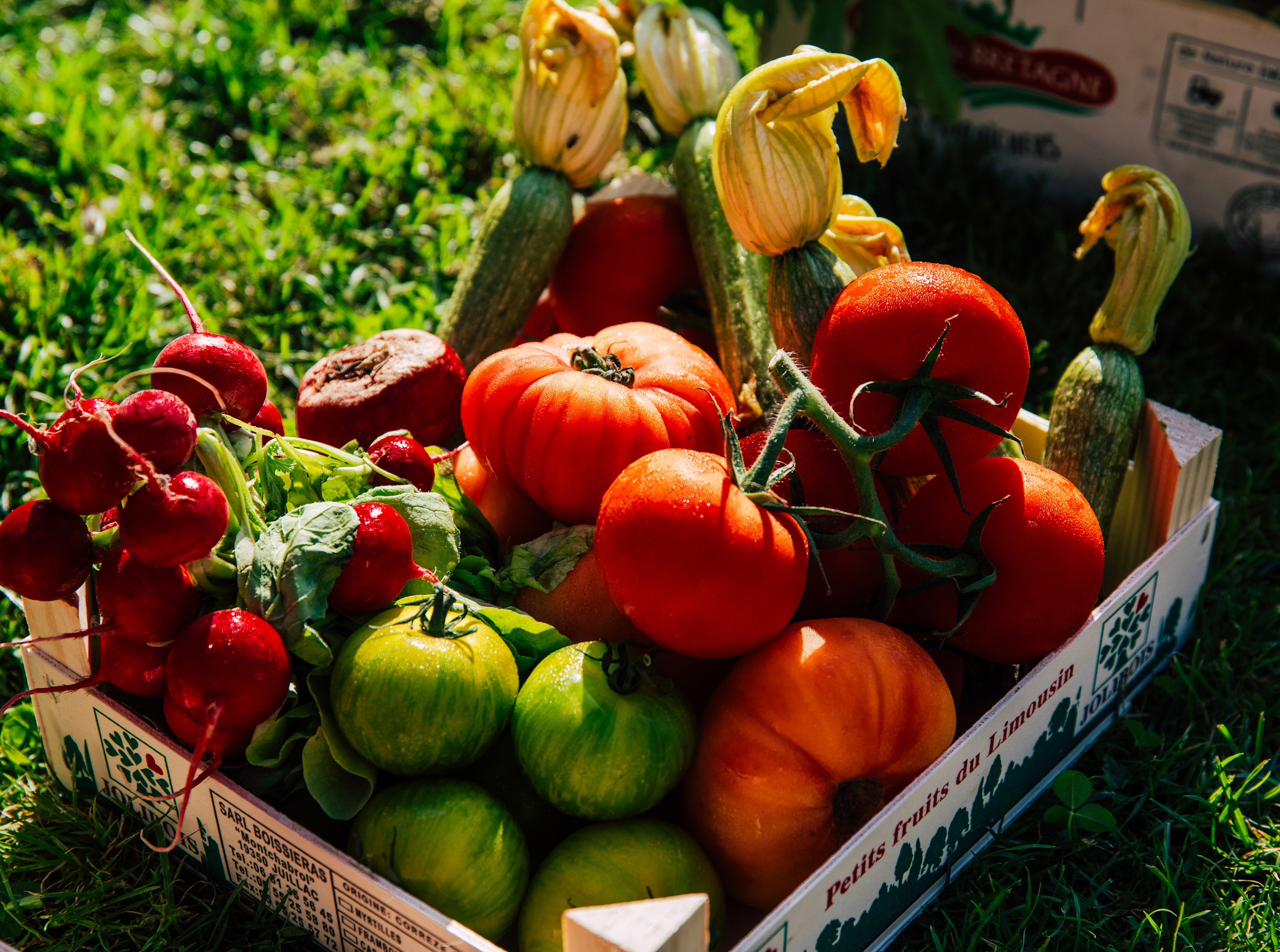 CSM - Tomatoes