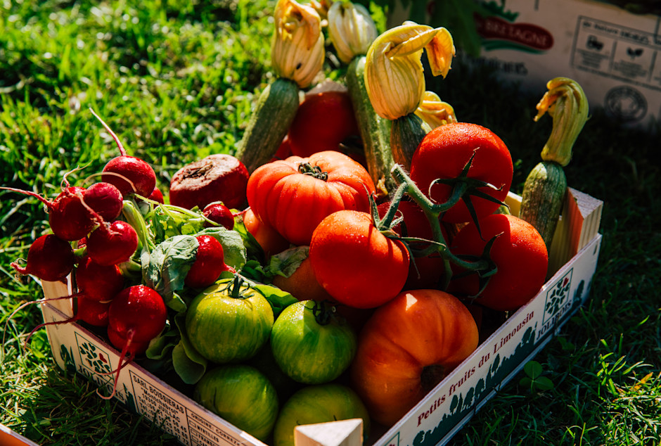 CSM - Tomatoes