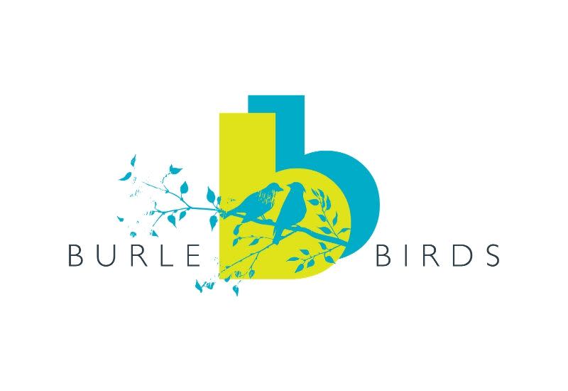 SAO - Burle Birds