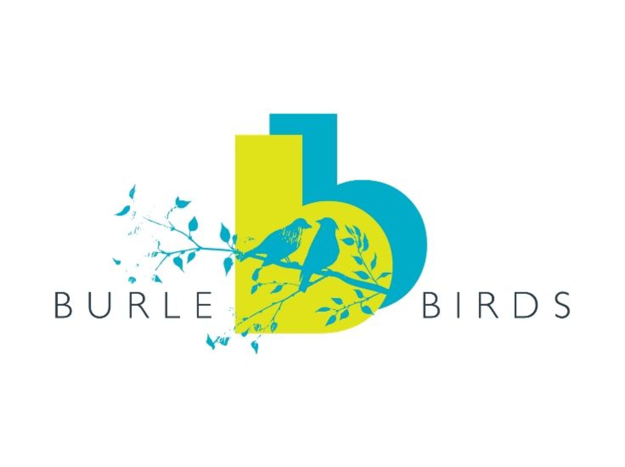 SAO - Burle Birds