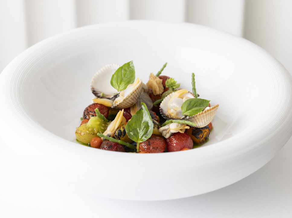 HDC - Pigeon heart tomato