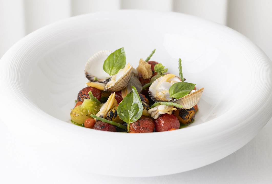 HDC - Pigeon heart tomato